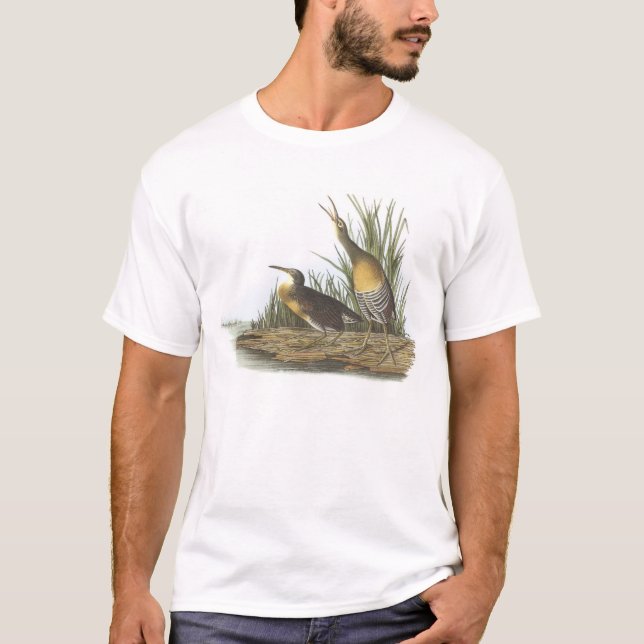 Camiseta Clapper Rail de Audubon (Frente)