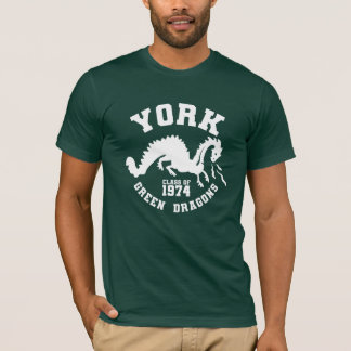 Camiseta Classe de 1974 Bella+Canvas masculina - Verde