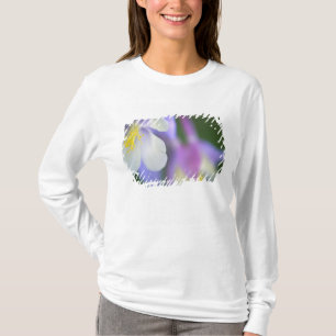 Camiseta Close da flor Aquilégia do Colorado.
