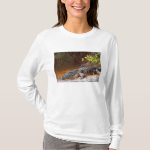 Camiseta Close de um aligátor americano no J.N.
