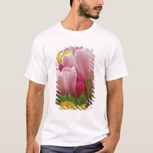 Camiseta Close-up da flor de tulipa, Jardins Kuekenhof,