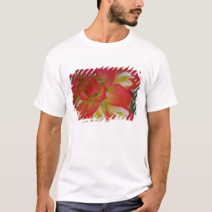 Camiseta Close-up do Pincel de Pintura Indiano perto de Gay