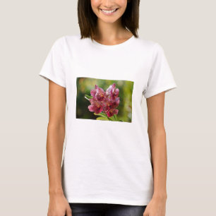 Camiseta Cluster Orquídeo Tropical de Vanda