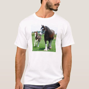 Camiseta Clydesdale e potro