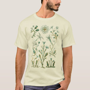 Camiseta Cnidaria - animais Pungente-celulados