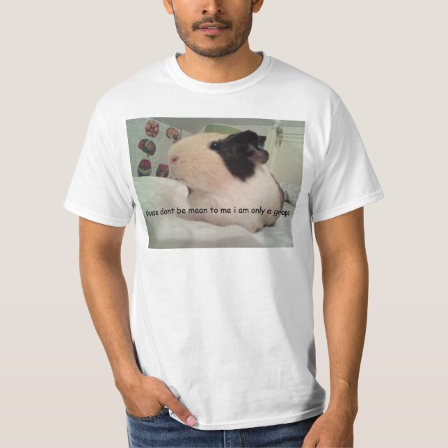 Camiseta Cobaia cómica sem a fruta??? idk (Frente)