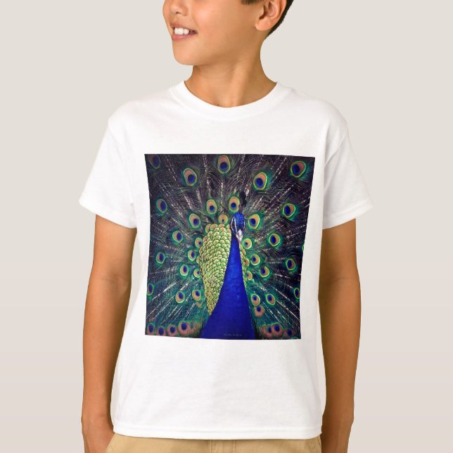 Camiseta Cobalto Blue Peacock (Frente)
