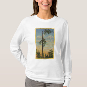 Camiseta Cobrindo o abeto vermelho gigante para 200 ft.