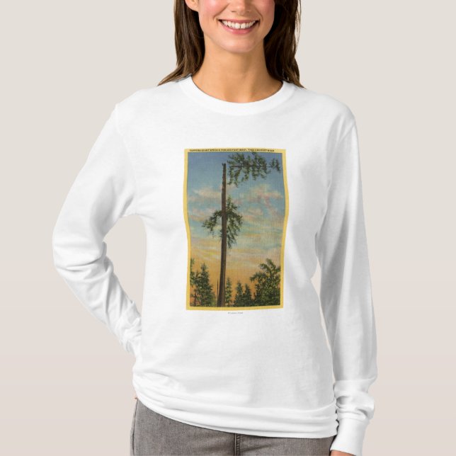 Camiseta Cobrindo o abeto vermelho gigante para 200 ft. (Frente)