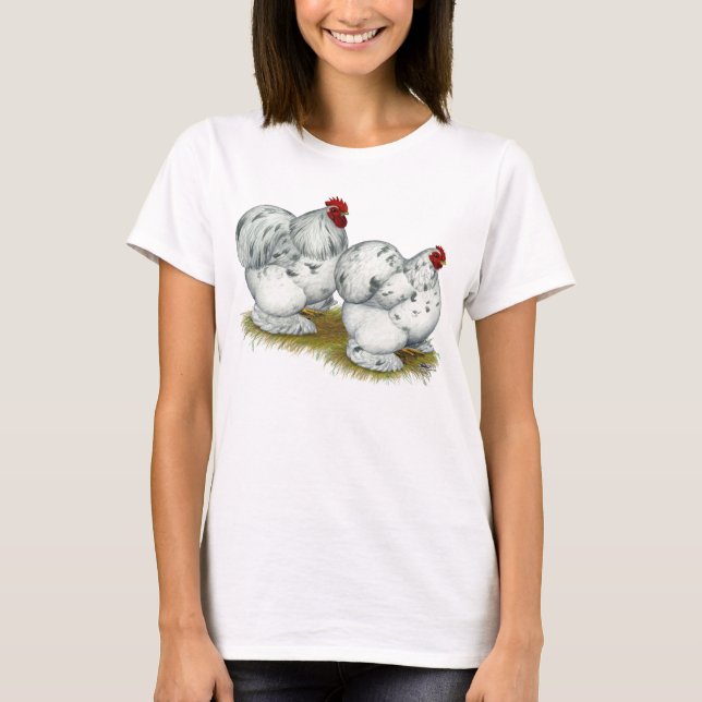 Camiseta Cochin: Splash Bantams (Frente)