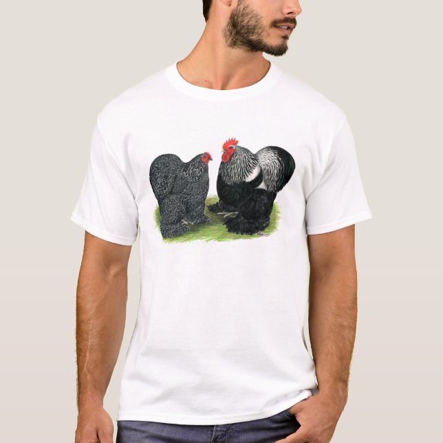 Camiseta Cochins: Pincéis de prata (Frente)