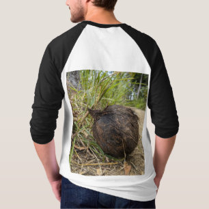 Camiseta Coco antigo