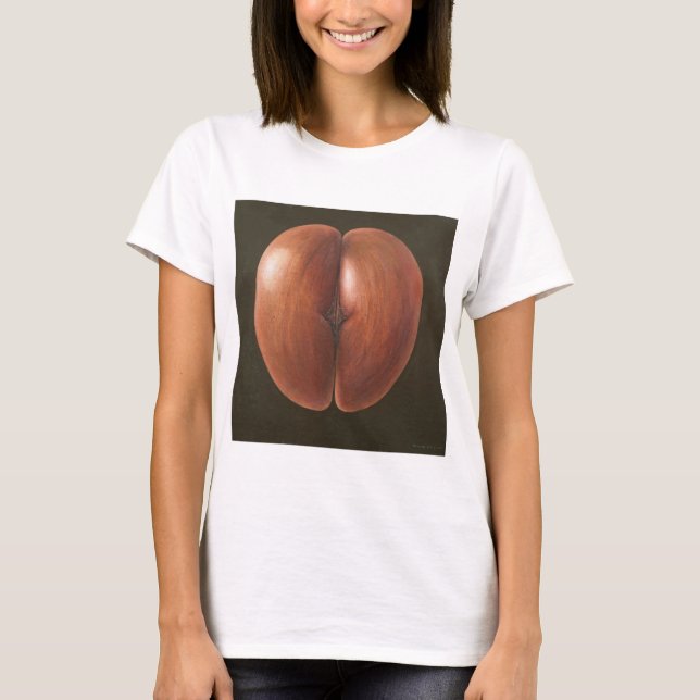 Camiseta Coco de Mer Maldives 2012 (Frente)