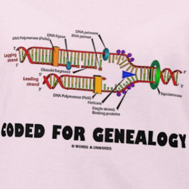 Camiseta Codificado Para A Genealogia (Replicação De DNA) (If you're into genealogy - i.e., as your family's family historian - you'll enjoy this DNA humor tee)