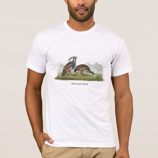 Camiseta Codorniz de montanha, John Audubon (Frente)