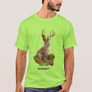 Camiseta Coelho-antílope 