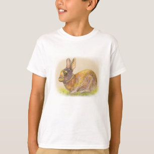 Camiseta Coelho colorido bonito