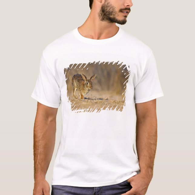 Camiseta coelho-da-cotovia-oriental saltando (Frente)