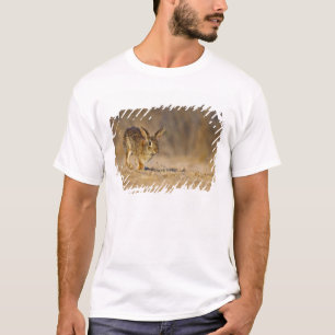 Camiseta coelho da cottontail oriental saltando
