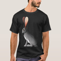 Coelho-do-casaco - Coelho com Orelhas Grandes