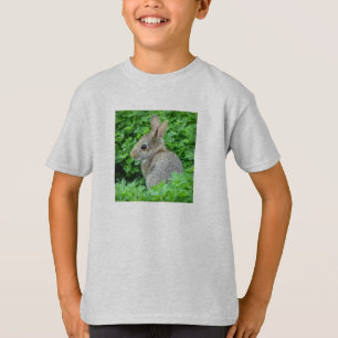 Camiseta Coelho do trevo