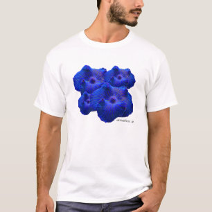 Camiseta Cogumelo azul, sp de Actinodiscus. coral