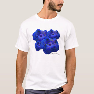 Camiseta Cogumelo azul, sp de Actinodiscus. coral