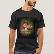Cogumelo Russula de Tampa Vermelha