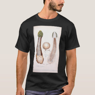 Camiseta Cogumelos pelus, comestíveis e venenosos