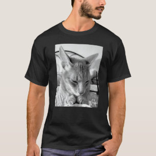 Camiseta Coisas de gato fofas para meninas gatos mulheres h