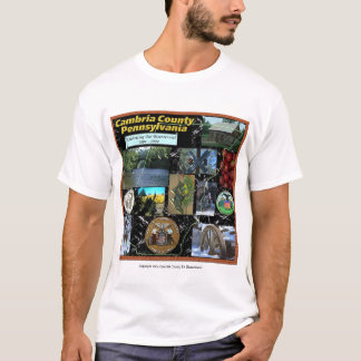 Camiseta Colagem de Cambria County