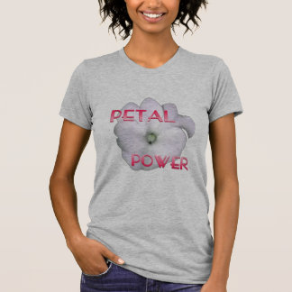 Camiseta Coleção de Aguardações Contínuas
