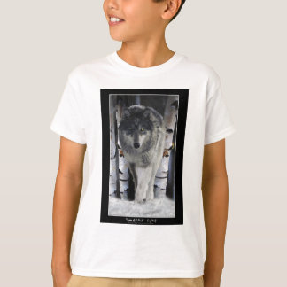Camiseta Coleção WOLF CINZA PACK