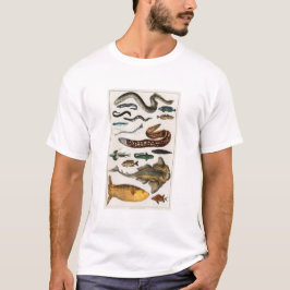 Camiseta Coleções de Peixes Vintage