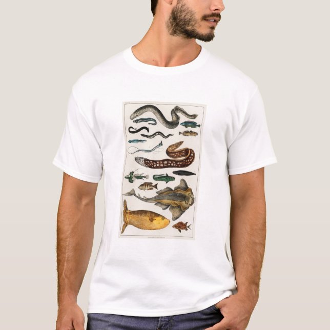 Camiseta Coleções de Peixes Vintage (Frente)