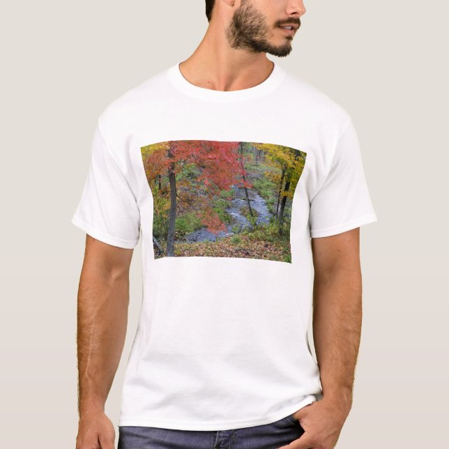 Camiseta Coles Creek alinhada com árvores de bordo de outon (Frente)
