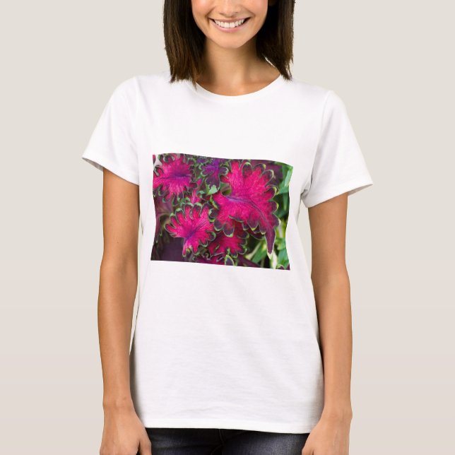 Camiseta Coleus Macro (Frente)
