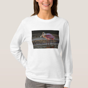 Camiseta Colhereiro-rosado, Ajaia ajaja, Ding Darling