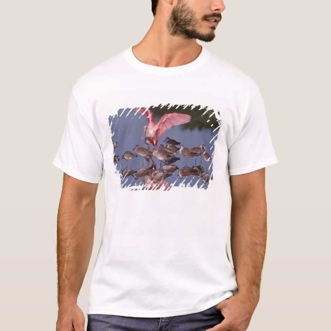 Camiseta Colhereiro-rosado com maçaricos-de-bico-fino em ág (Frente)