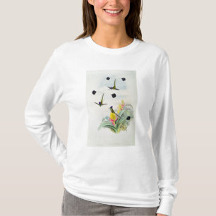 Camiseta Colibri, gravado por Walter e por Cohn