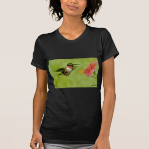 Camiseta colibri Rubi-throated (homem) com rosa do petúnia