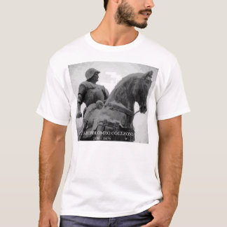 Camiseta Colleoni