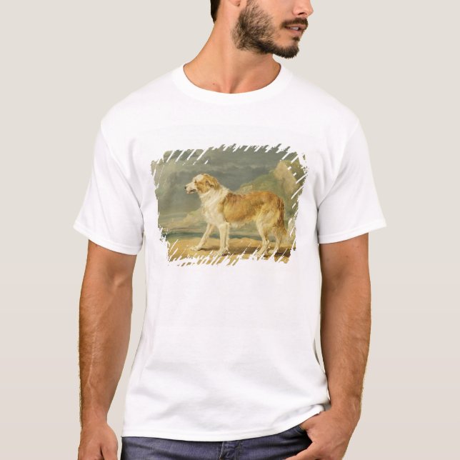 Camiseta Collie Áspero-revestido, 1809 (óleo a bordo) (Frente)