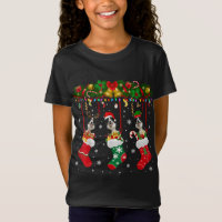 Collie Fronteira Em Sock Xmas Reindeer Papais noei