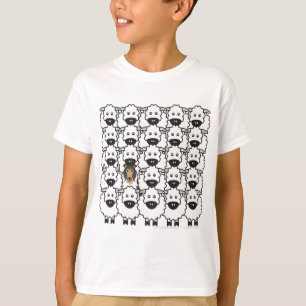 Camiseta Collie nos carneiros