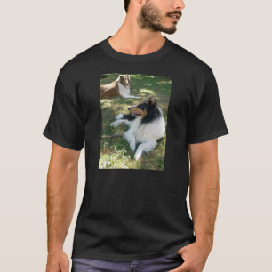 Camiseta Collies T Shirt grossos