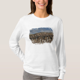Camiseta Colônia de Pinguim Gentoo (Pygoscelis papua) no Oe
