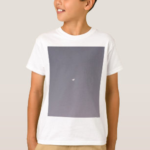 Camiseta Coloque a Lua