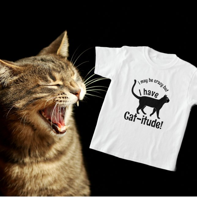 Camiseta Coloração popular personalizável que tenho... (Proud to be a Crazy Cat Lady!)