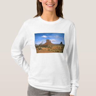 Camiseta Colorido Vale do Monumento Mitens em Utah EUA